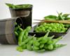 Ramuan Herbal Penguat Kandungan