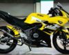 Spesifikasi Dan Harga Kawasaki Ninja RR Terbaru
