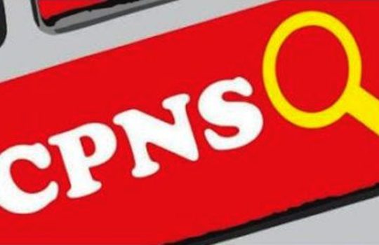 Pengumuman SKD CPNS BIN 2017 Online www.bin.go.id