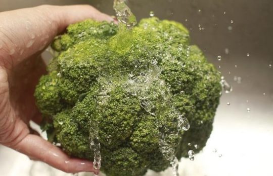 Tips Menyimpan Brokoli Agar Tidak Mudah Busuk dan Tetap Segar