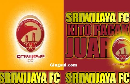 Hasil Persipura vs SFC Hari Ini Liga 1 2017