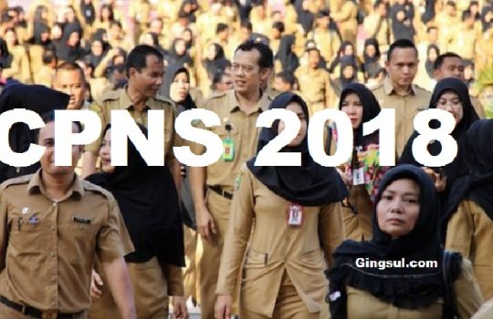 Penerimaan CPNS 2018, Awal Tahun Sudah Buka