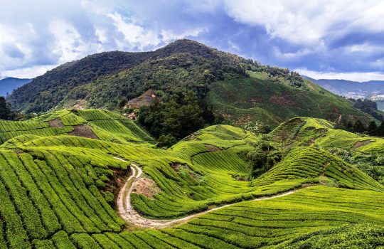Jadwal Imsakiyah Aceh Barat Daya