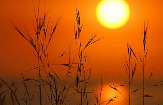 Jadwal Imsakiyah Kabupaten Pelalawan Puasa Ramadhan