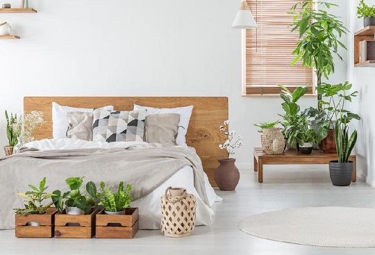 Kamar Tidur Minimalis dengan Hiasan Tanaman