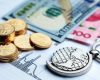 Apa Saja yang Termasuk Bidang Usaha PMA