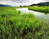 Farmington Groundwater Recharge Program