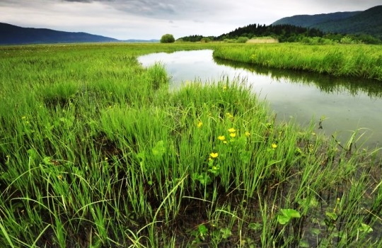 Farmington Groundwater Recharge Program