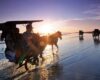 Nikmati Keindahan Pantai Parangtritis Bersama Temanimu Wisata