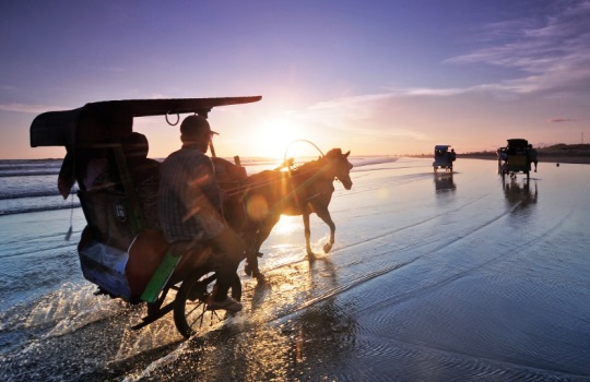 Nikmati Keindahan Pantai Parangtritis Bersama Temanimu Wisata