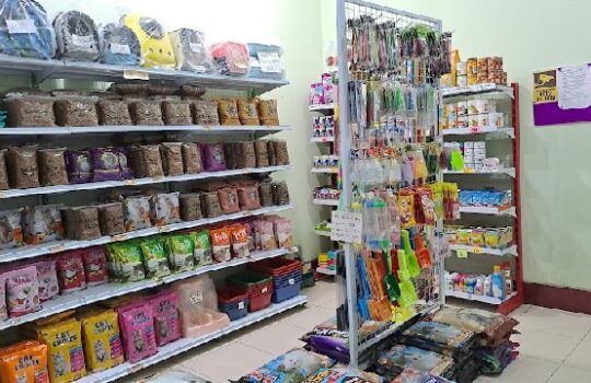 9 Petshop Terbaik di Karanganyar yang Tepat untuk Hewan Kesayangan