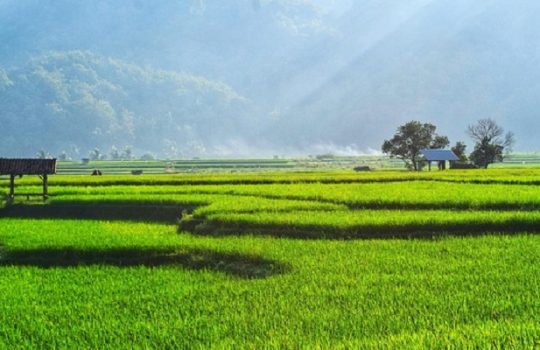 Kata Hikmah Penuh Makna